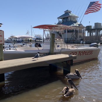 Go Topless Fishing Charters - Go Topless Fishing Boat - Fishing Near Me - Biloxi, Mississippi Go Topless Fishing Charters - Go Topless Fishing Boat - Fishing Near Me - Biloxi, Mississippi
