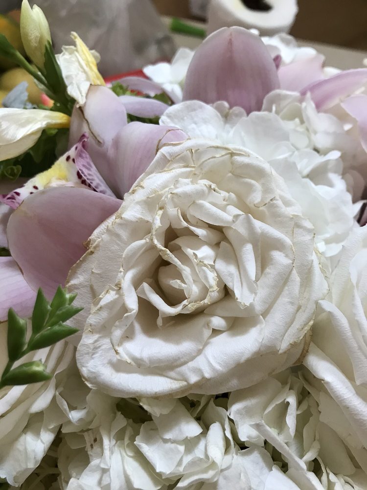 GREENLEAF & BLOOM 20 Lumber Rd, Roslyn, New York Florists Phone Number Yelp