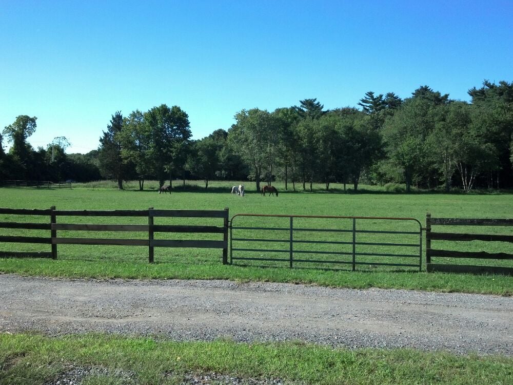 BLUEMEAD STABLE Updated October 2024 18 Mason St, Rehoboth