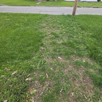 Arrowwood Landscaping - The middle are without much growth is what they repaired - Landscaping Near Me - Jamestown, New York Arrowwood Landscaping - The middle are without much growth is what they repaired - Landscaping Near Me - Jamestown, New York