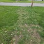 Photo of Arrowwood Landscaping