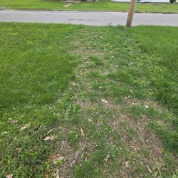 Arrowwood Landscaping - The middle are without much growth is what they repaired