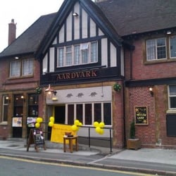 The Aardvark