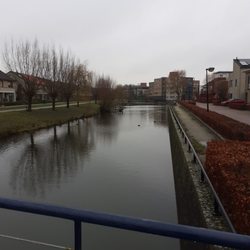 Tiemessen Eten en Drinken - Ben Verhuizen. Achter water  met meeuwen  en zwanen eenden. Ga veel met de hond  wandelen. Er zijn genoeg  honden met  baasje
