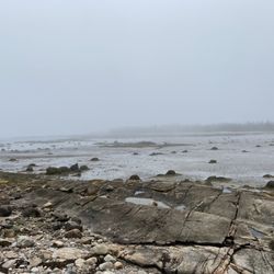 Petit Manan Wildlife Refuge