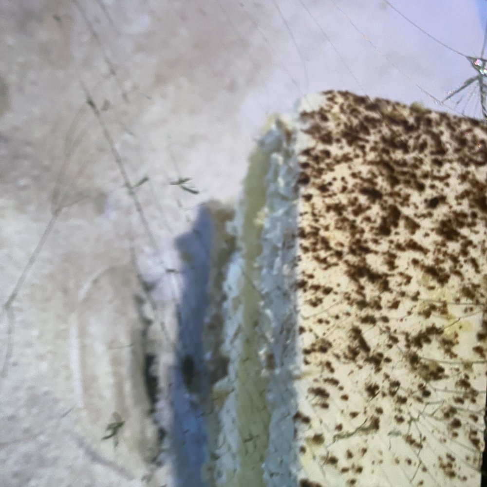 Asian Buffet - bug on cake - Chinese Near Me - Killeen, Texas
