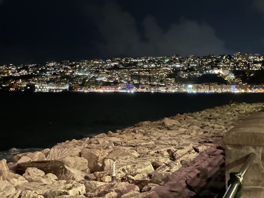 Royal Continental Hotel by null