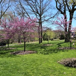 Carlls River Botanical Garden