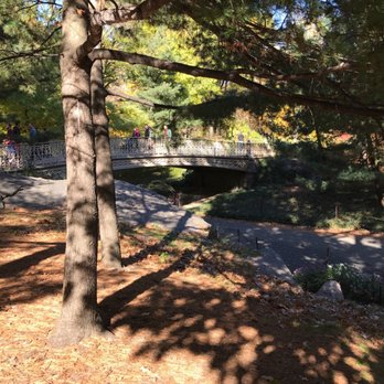Central Park Conservancy - Beautiful bridges - Parks Near Me - New York, New York Central Park Conservancy - Beautiful bridges - Parks Near Me - New York, New York