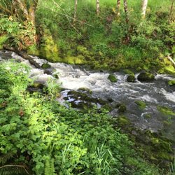 Savage Streams Camp Ground - Savage sream