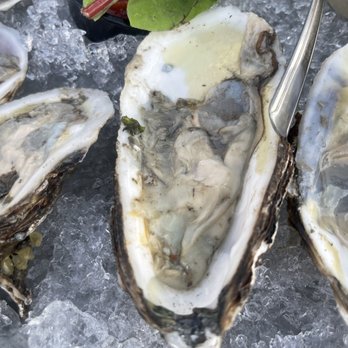 Smuggler Jack's - Would you eat this. ? - Seafood Near Me - Massapequa, New York
