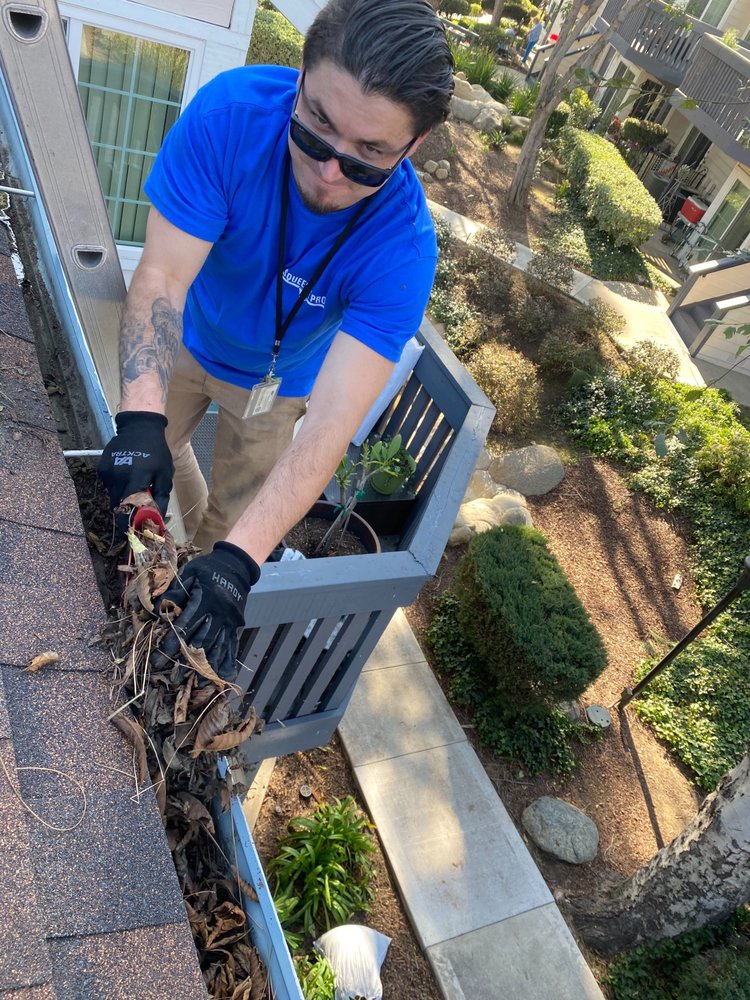 SQUEEGEE PRO 35 Photos & 179 Reviews 3001 Red Hill Ave, Costa Mesa