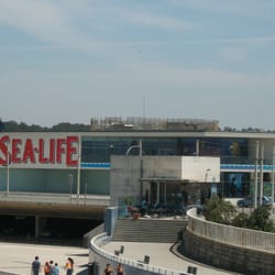 Sea Life