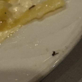Cafe Portofino - Bug in the Food - Italian Near Me - Lihue, Hawaii