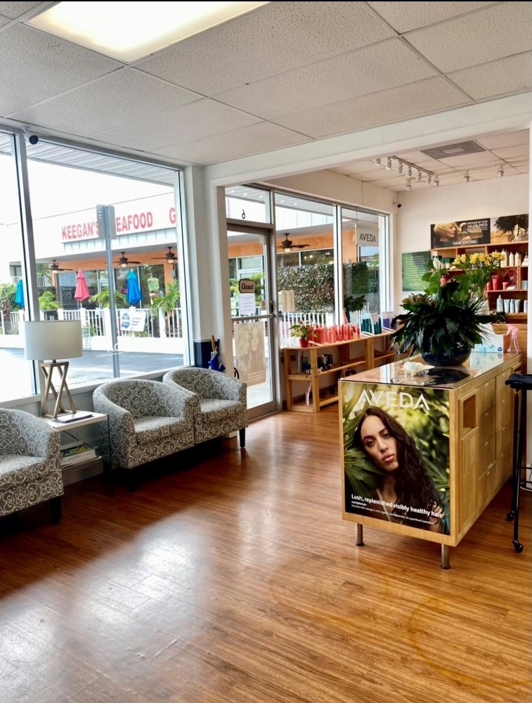 DeSanti Salon & Spa Aveda Logo