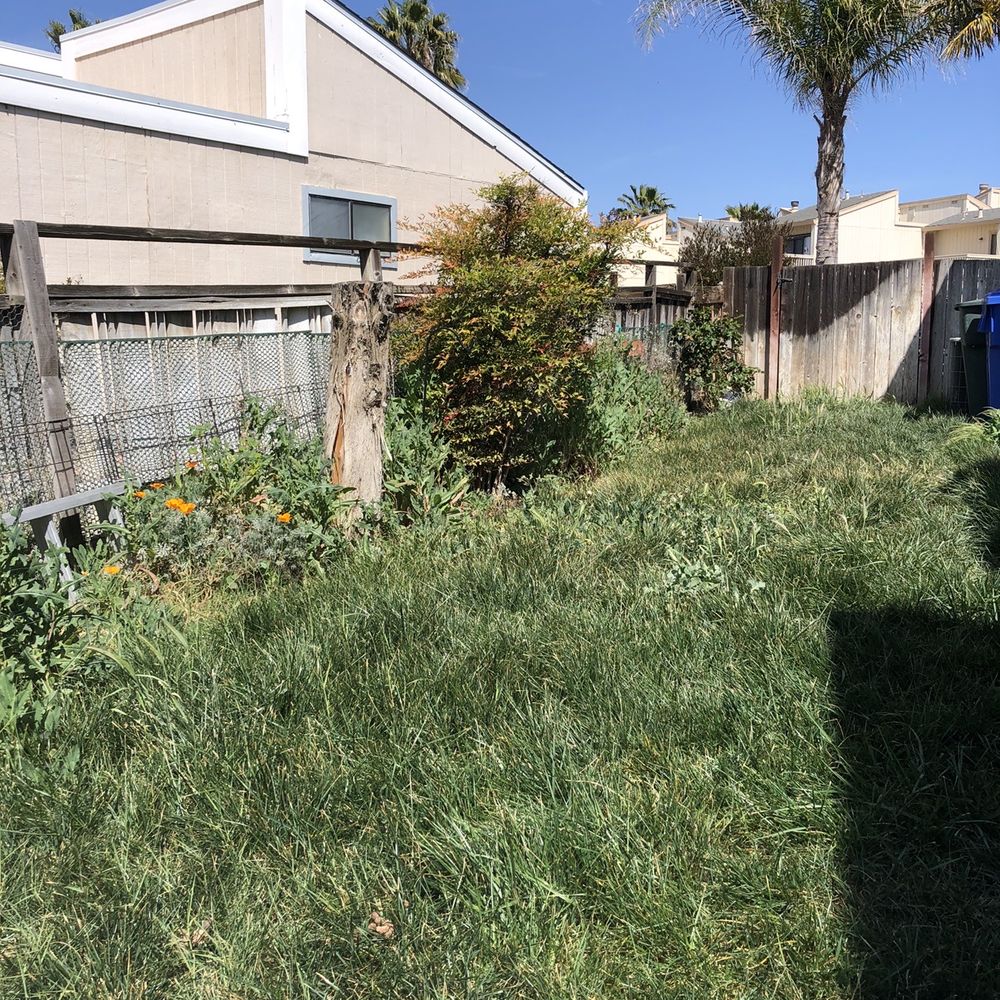 Np Hauling & More - Before - Junk Removal & Hauling Near Me Np Hauling & More - Before - Junk Removal & Hauling Near Me