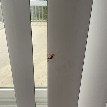 Spring Creek Apartments - Living room blinds - Apartments Near Me - Macungie, Pennsylvania Spring Creek Apartments - Living room blinds - Apartments Near Me - Macungie, Pennsylvania