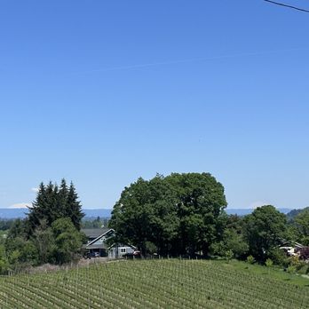 Dauntless Wine at Old 47 Estate - You can faintly see Saint Helens on the left and then another one on the far right. - Wine Tasting Room Near Me - Gaston, Oregon Dauntless Wine at Old 47 Estate - You can faintly see Saint Helens on the left and then another one on the far right. - Wine Tasting Room Near Me - Gaston, Oregon