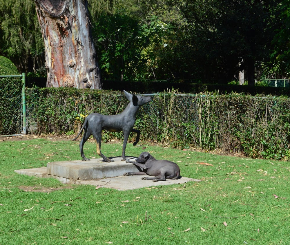 Museo Dolores Olmedo Patiño