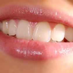 Brian D Ehrman, DDS - Ehrman Brian D logo