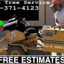 Mike's Tree Service - Professional Stump removal
