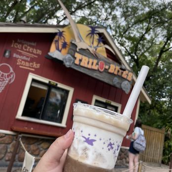 Trilo-Bites - Root Beer Float - New American Near Me - Kissimmee, Florida