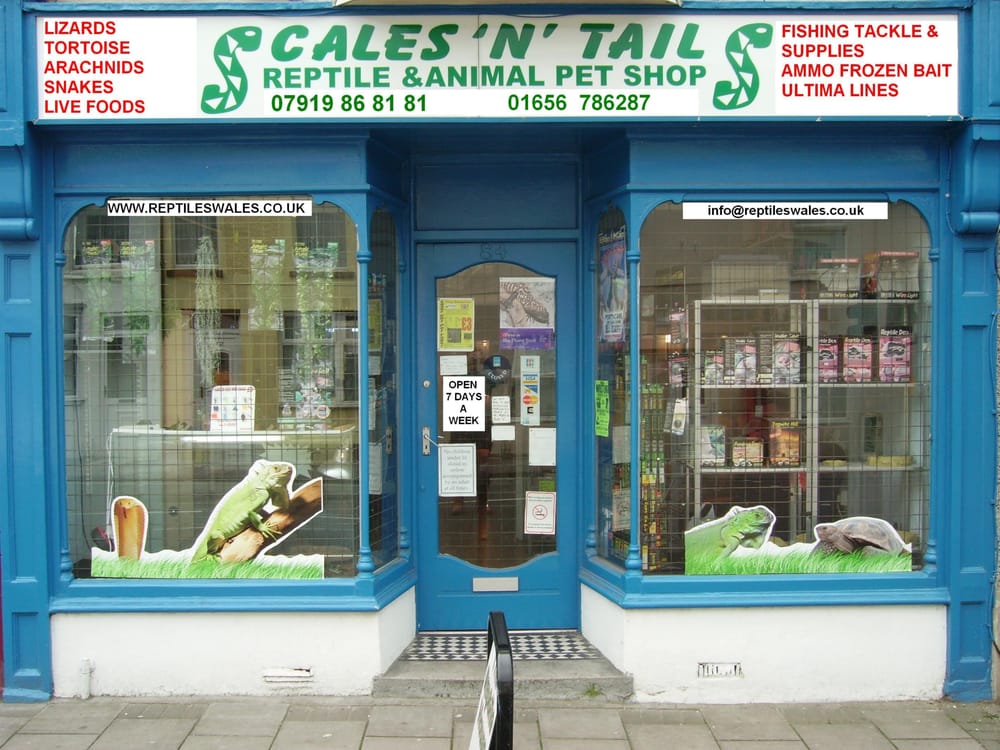 SCALES N TAILS Updated August 2024 84 New Road, Porthcawl, Bridgend