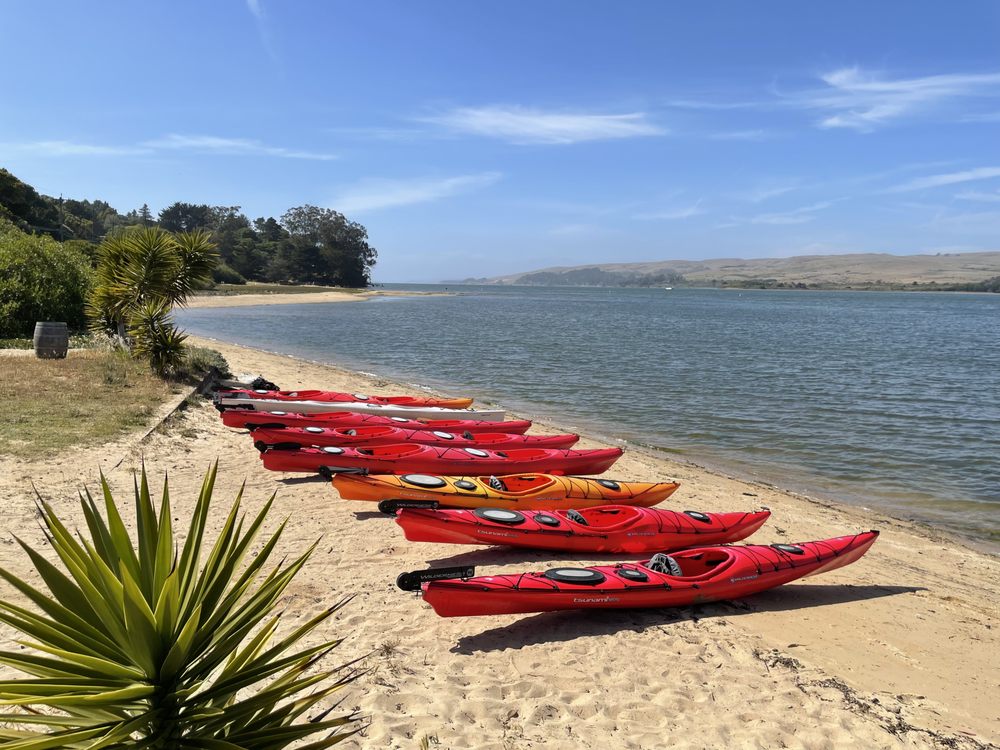 TOMALES BAY EXPEDITIONS Updated September 2024 12 Photos & 19