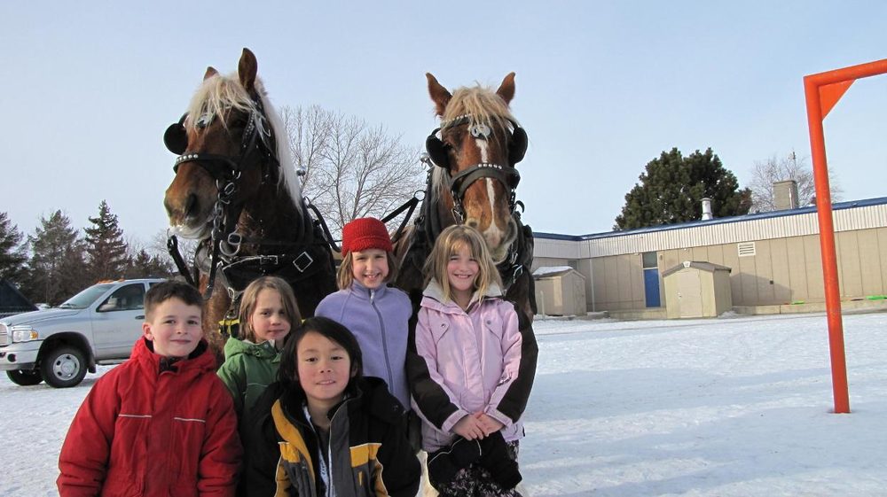 80 Photos 23136 Secondary Highway 643, Gibbons, Alberta, Canada RV