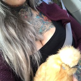 Buff bearded silkie hen