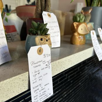 Dr T House - Cute little plants for sale - Bubble Tea Near Me - Santa Monica, California Dr T House - Cute little plants for sale - Bubble Tea Near Me - Santa Monica, California