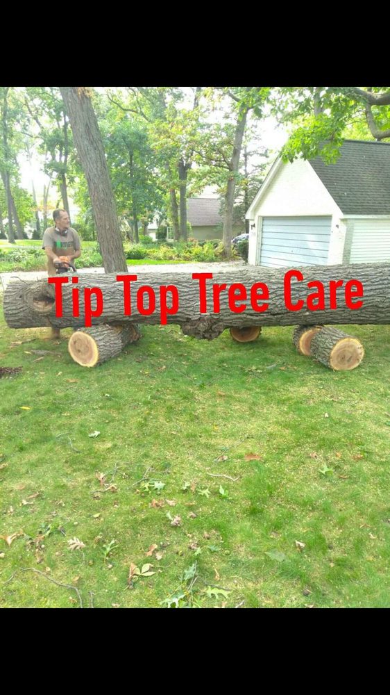 TIP TOP TREE CARE Updated September 2024 Request a Quote 4574