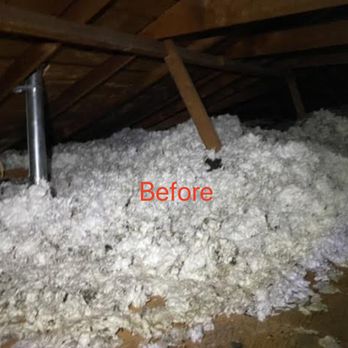 Attic Pros - Pest Control Near Me - Oakland, California