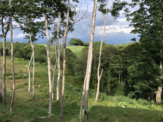 Zaborin Ryokan by null