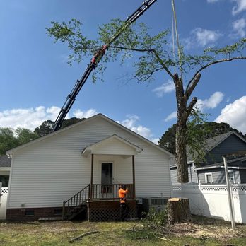 Toler's Tree Service - Tree Services Near Me - Greenville, North Carolina Toler's Tree Service - Tree Services Near Me - Greenville, North Carolina