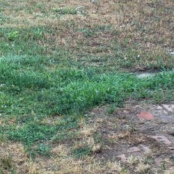 American Turf & Tree Care