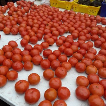 Green City Market - A cornucopia of tomatoes ripe for the eating - Farmers Market Near Me - Chicago, Illinois Green City Market - A cornucopia of tomatoes ripe for the eating - Farmers Market Near Me - Chicago, Illinois