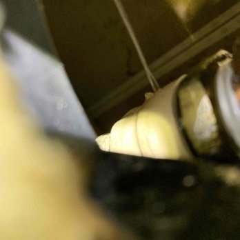 Central Air Heating, Cooling & Plumbing - There was a fracture in the pipe. - Heating & Air Conditioning/HVAC Near Me - Clackamas, Oregon Central Air Heating, Cooling & Plumbing - There was a fracture in the pipe. - Heating & Air Conditioning/HVAC Near Me - Clackamas, Oregon