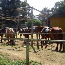 Club Ecuestre Calá Vicuña - Club Ecuestre Cachagua