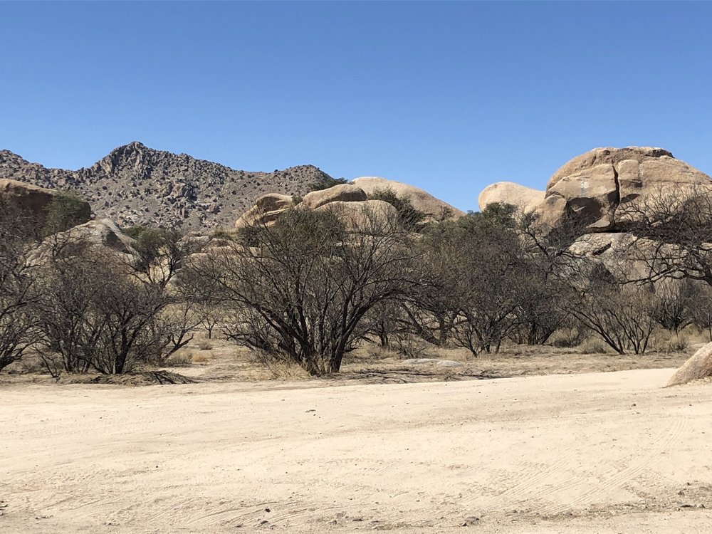 TRIANGLE T RANCH Updated August 2024 51 Photos & 33 Reviews 4190