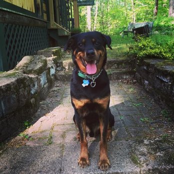 Reading Animal Clinic - Veterinarians Near Me - Reading, Massachusetts Reading Animal Clinic - Veterinarians Near Me - Reading, Massachusetts