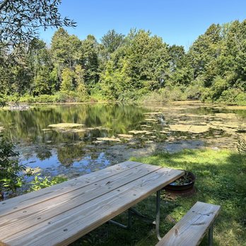 Red Rock Ponds RV - RV Parks Near Me - Holley, New York Red Rock Ponds RV - RV Parks Near Me - Holley, New York