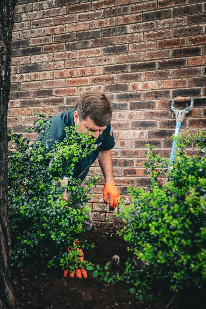 Slide of Forsyth Rooter Service