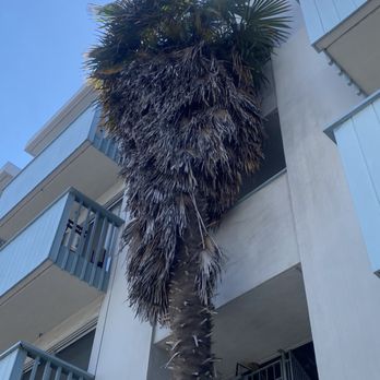 M & M Tree Service - Tree Services Near Me - Richmond, California