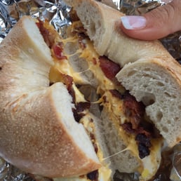 Salt Bagel