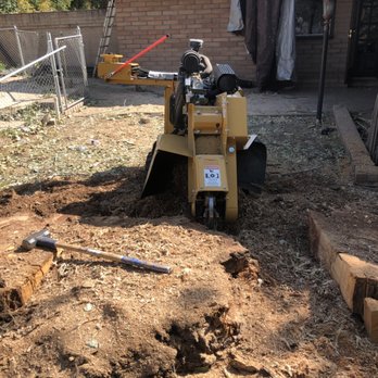 R&M Tree Service - Tree Services Near Me R&M Tree Service - Tree Services Near Me