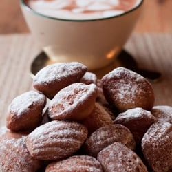 Teacup - Freshly Baked Madeleines