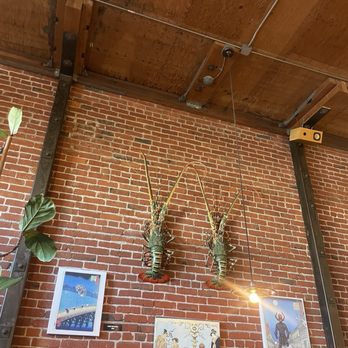 Ramen Gaijin - Ramen Near Me - Sebastopol, California