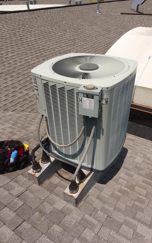 Slide of S J Kowalski