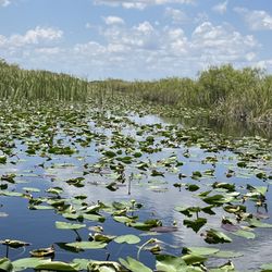 River of Grass Airboat Tours - Everglades